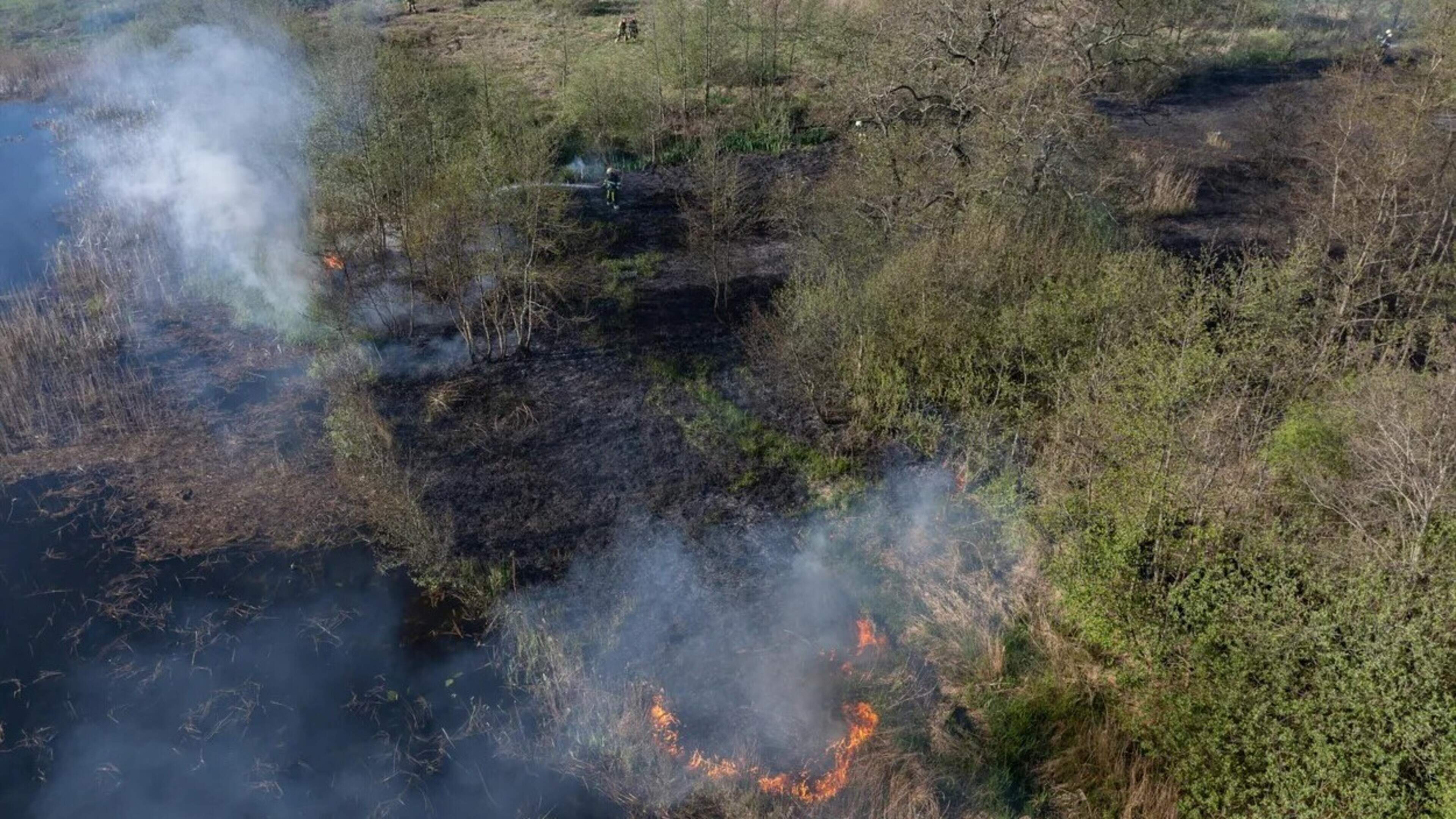 Forse natuurbrand aan Roodbaardpad bij Wolvega