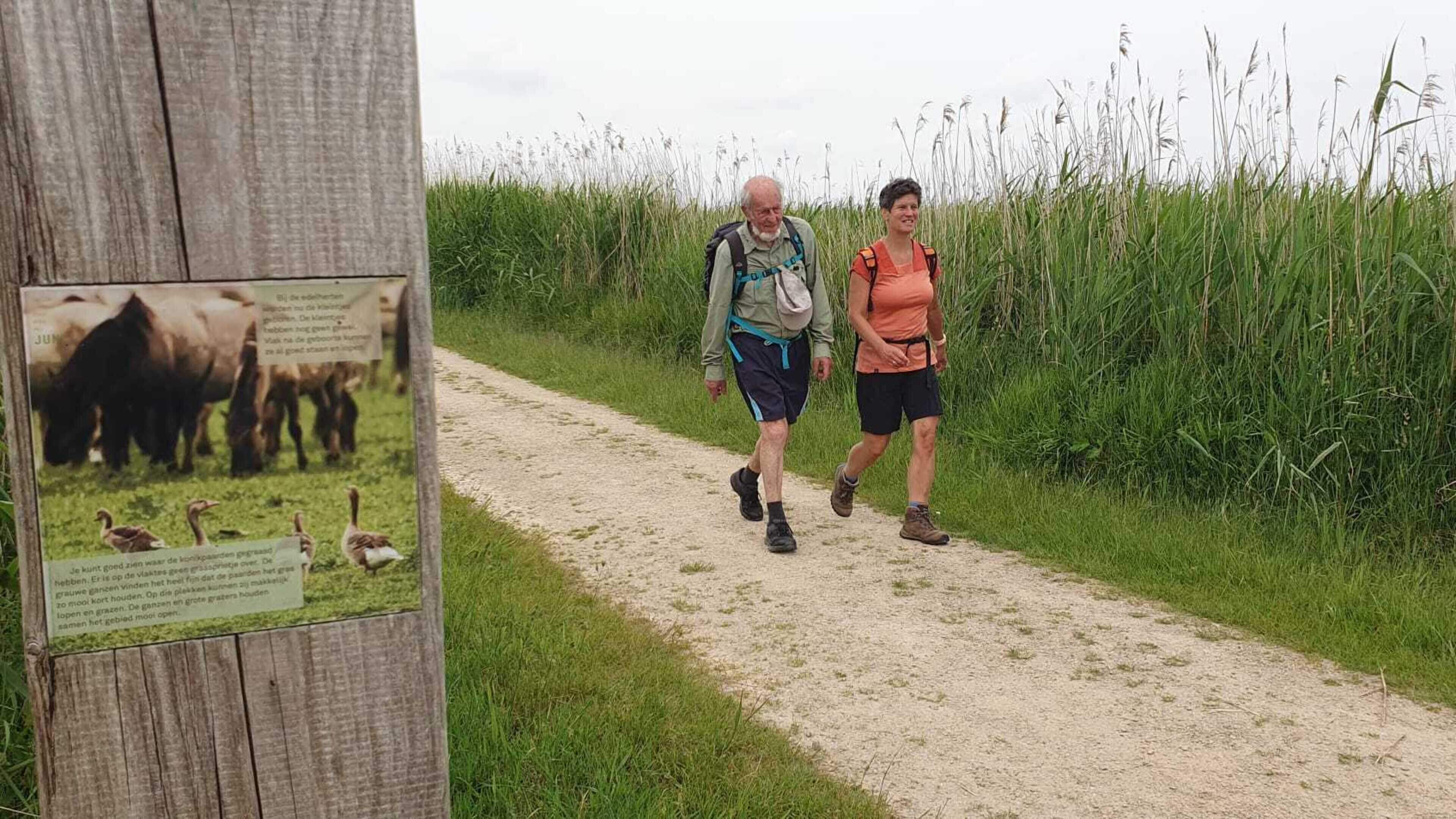 Wandelaars kijken uit naar elfde Pieter Stuyvesant Kuiertocht. ‘Hoogtepunt van het jaar’