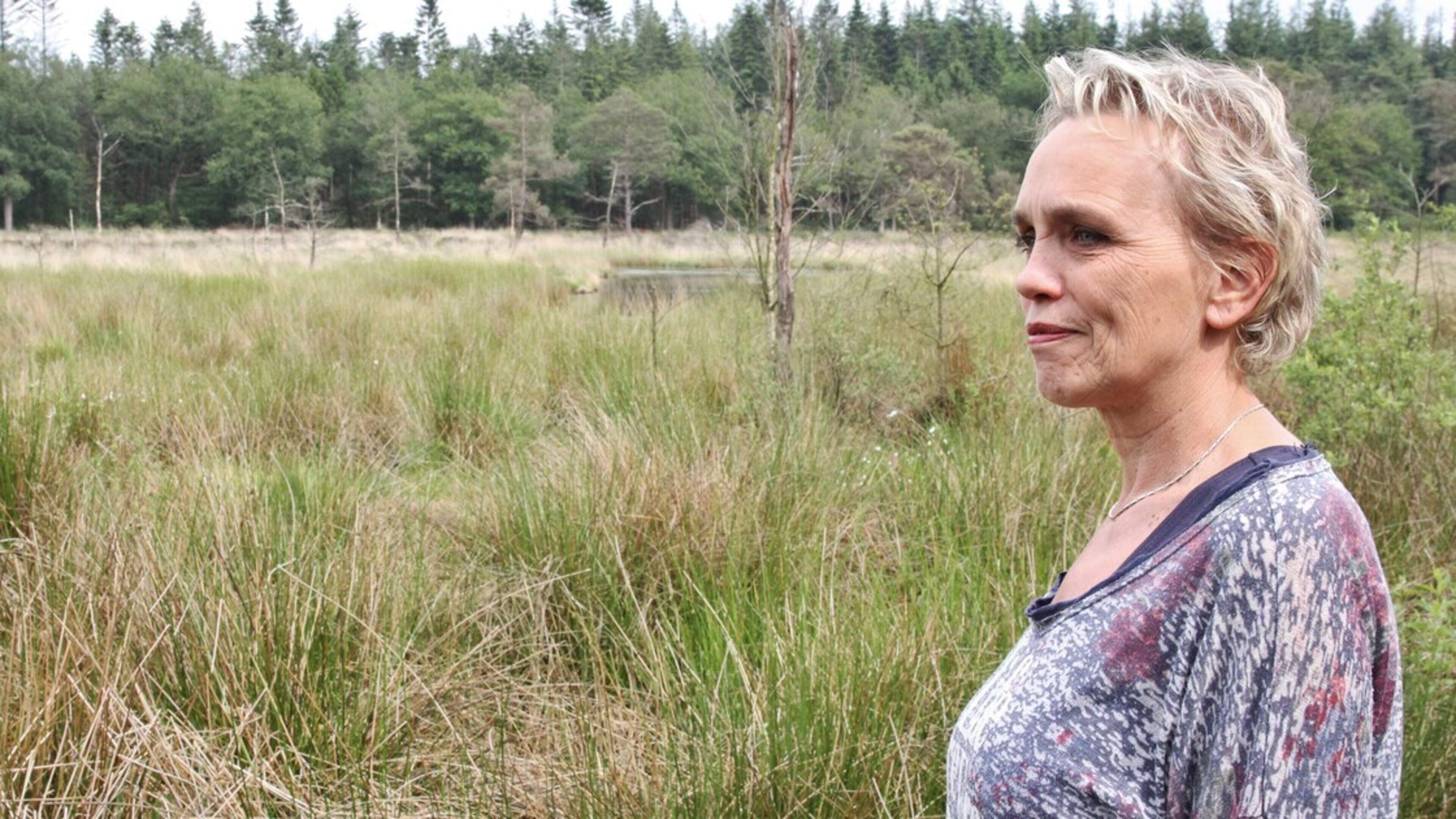 Wandelen op een zomeravond met Frieslands End