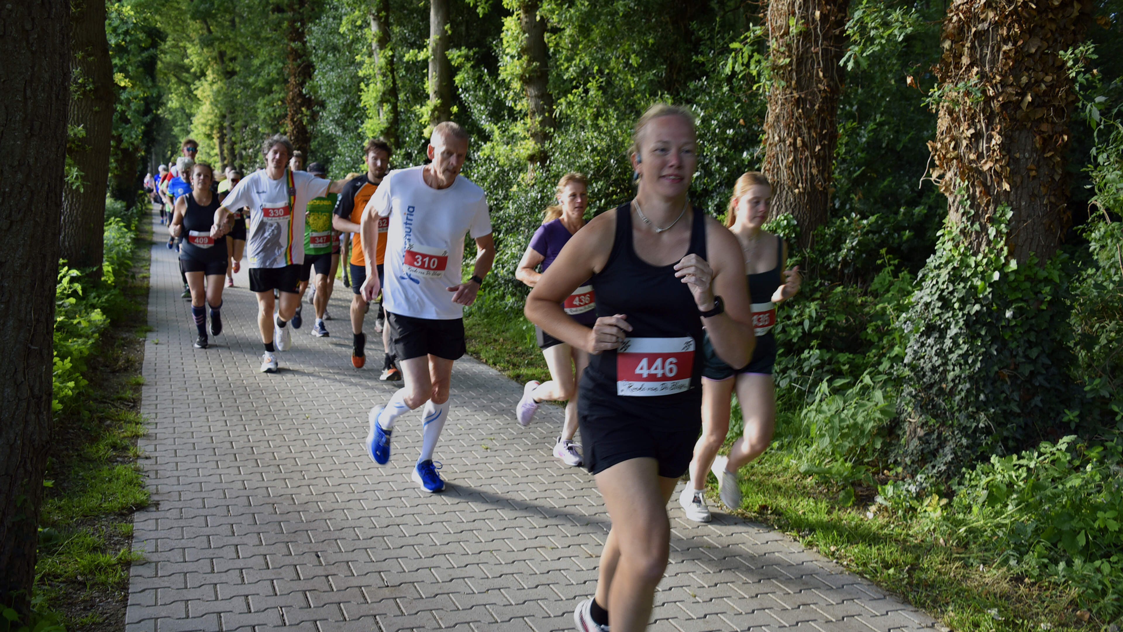 Succes voor hardlopers uit Weststellingwerf bij Ronde van De Blesse